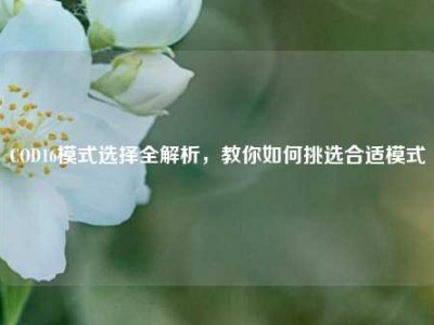 COD16模式选择全解析，教你如何挑选合适模式
