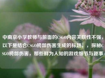 中南京小学教师与前面的CSGO内容关联性不强，以下是结合CSGO胯部伤害生成的标题，，探秘CSGO胯部伤害，那些鲜为人知的游戏细节与趣事