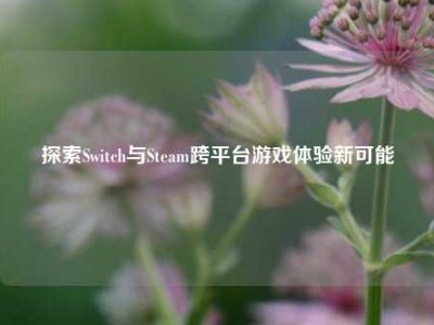 探索Switch与Steam跨平台游戏体验新可能