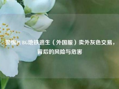 警惕PUBG地铁逃生（外国服）卖外灰色交易，背后的风险与危害