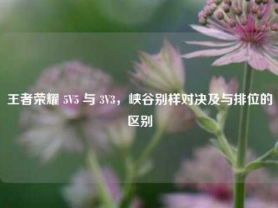 王者荣耀 5V5 与 3V3，峡谷别样对决及与排位的区别