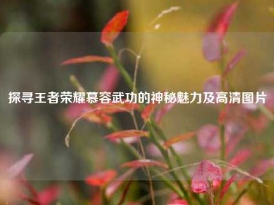 探寻王者荣耀慕容武功的神秘魅力及高清图片