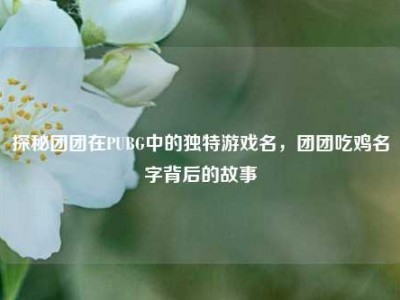 探秘团团在PUBG中的独特游戏名，团团吃鸡名字背后的故事