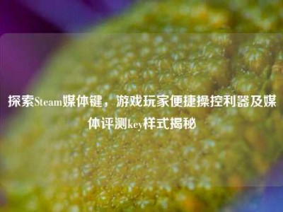 探索Steam媒体键，游戏玩家便捷操控利器及媒体评测key样式揭秘