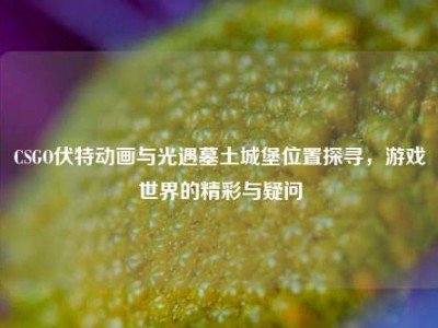 CSGO伏特动画与光遇墓土城堡位置探寻，游戏世界的精彩与疑问