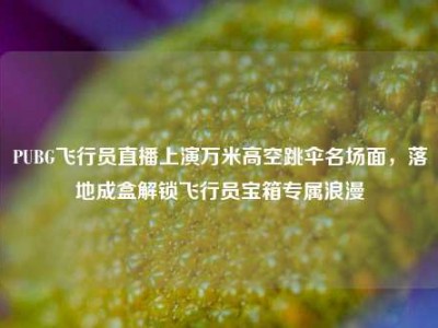 PUBG飞行员直播上演万米高空跳伞名场面，落地成盒解锁飞行员宝箱专属浪漫