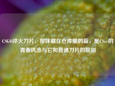 CSGO淬火刀片，那抹藏在仓库里的蓝，是CSer的青春执念与它和普通刀片的区别