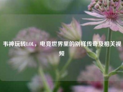 韦神玩转LOL，电竞世界里的别样传奇及相关视频