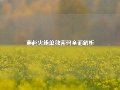 穿越火线单独密码全面解析