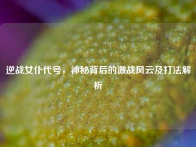 逆战女仆代号，神秘背后的激战风云及打法解析