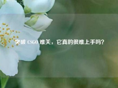 突破 CSGO 难关，它真的很难上手吗？