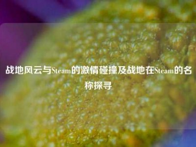 战地风云与Steam的激情碰撞及战地在Steam的名称探寻