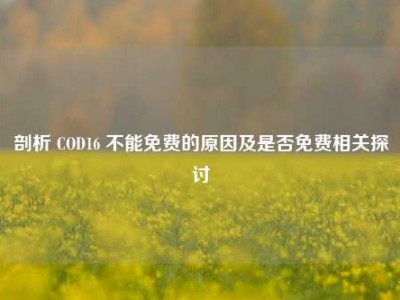剖析 COD16 不能免费的原因及是否免费相关探讨