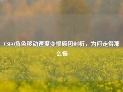 CSGO角色移动速度变慢原因剖析，为何走得那么慢