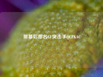 屏幕后那名CF突击手QCFKAC