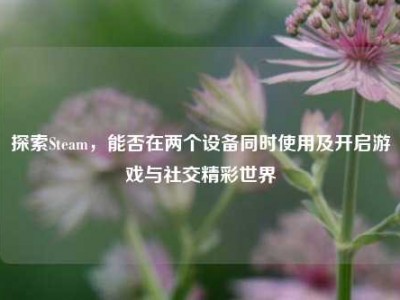 探索Steam，能否在两个设备同时使用及开启游戏与社交精彩世界
