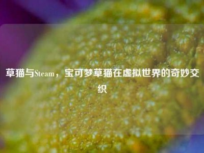 草猫与Steam，宝可梦草猫在虚拟世界的奇妙交织