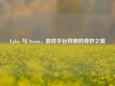 Uplay 与 Steam，游戏平台双栖的奇妙之旅