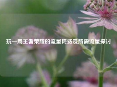 玩一局王者荣耀的流量耗费及所需流量探讨