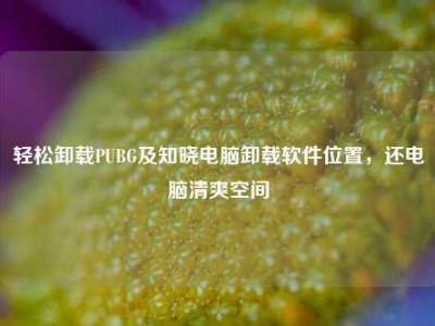 轻松卸载PUBG及知晓电脑卸载软件位置，还电脑清爽空间