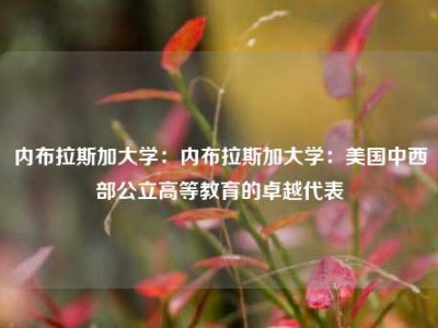 内布拉斯加大学：内布拉斯加大学：美国中西部公立高等教育的卓越代表