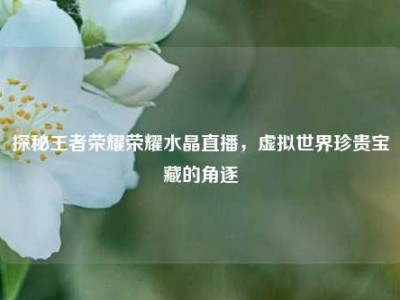 探秘王者荣耀荣耀水晶直播，虚拟世界珍贵宝藏的角逐