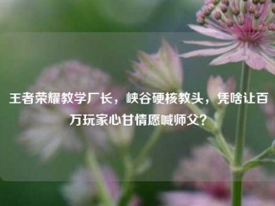 王者荣耀教学厂长，峡谷硬核教头，凭啥让百万玩家心甘情愿喊师父？