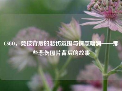 CSGO，竞技背后的悲伤氛围与情感暗涌——那些悲伤图片背后的故事