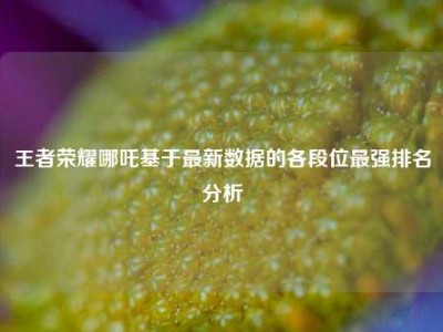 王者荣耀哪吒基于最新数据的各段位最强排名分析