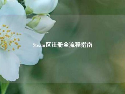 Steam区注册全流程指南