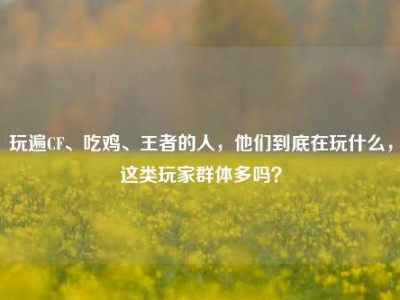 玩遍CF、吃鸡、王者的人，他们到底在玩什么，这类玩家群体多吗？