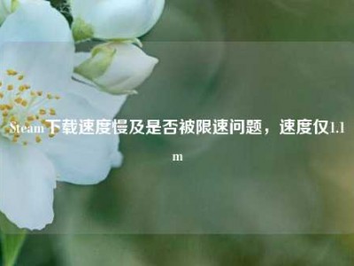 Steam下载速度慢及是否被限速问题，速度仅1.1m