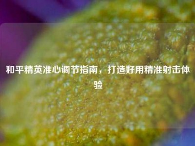 和平精英准心调节指南，打造好用精准射击体验