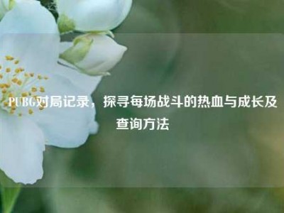 PUBG对局记录，探寻每场战斗的热血与成长及查询方法