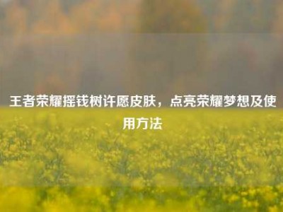 王者荣耀摇钱树许愿皮肤，点亮荣耀梦想及使用方法