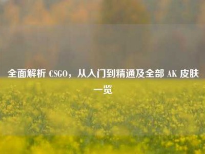 全面解析 CSGO，从入门到精通及全部 AK 皮肤一览