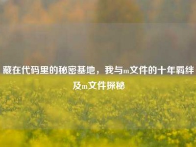 藏在代码里的秘密基地，我与m文件的十年羁绊及m文件探秘