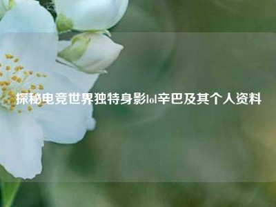 探秘电竞世界独特身影lol辛巴及其个人资料