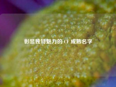 彰显独特魅力的 CF 成熟名字