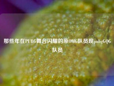 那些年在PUBG舞台闪耀的原OMG队员现pubgGQG队员