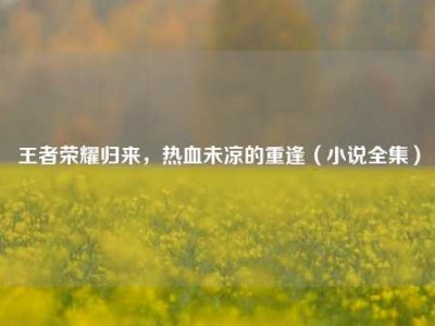 王者荣耀归来，热血未凉的重逢（小说全集）