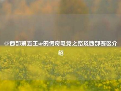 CF西部第五王sir的传奇电竞之路及西部赛区介绍