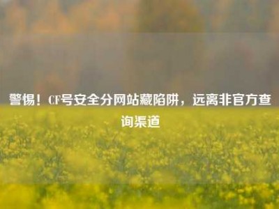 警惕！CF号安全分网站藏陷阱，远离非官方查询渠道