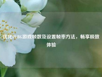 优化PUBG游戏帧数及设置帧率方法，畅享极致体验