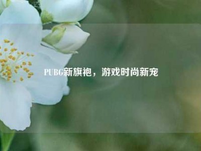 PUBG新旗袍，游戏时尚新宠