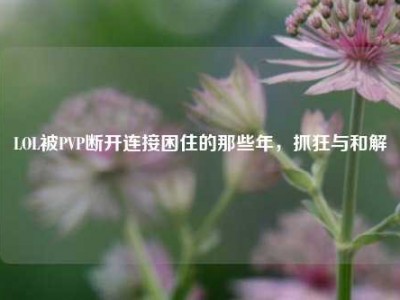 LOL被PVP断开连接困住的那些年，抓狂与和解