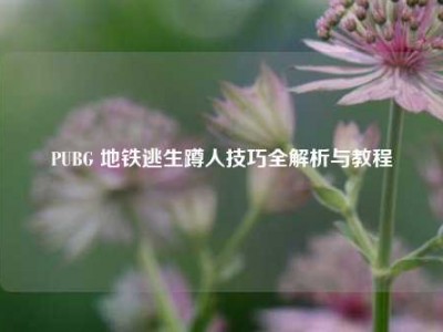 PUBG 地铁逃生蹲人技巧全解析与教程