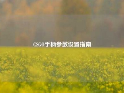 CSGO手柄参数设置指南