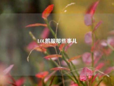 LOL鹅服那些事儿