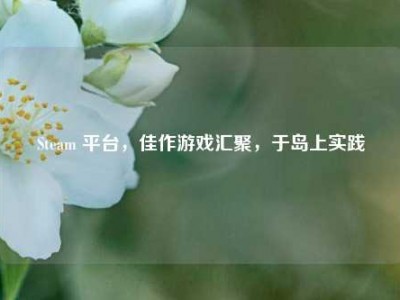 Steam 平台，佳作游戏汇聚，于岛上实践